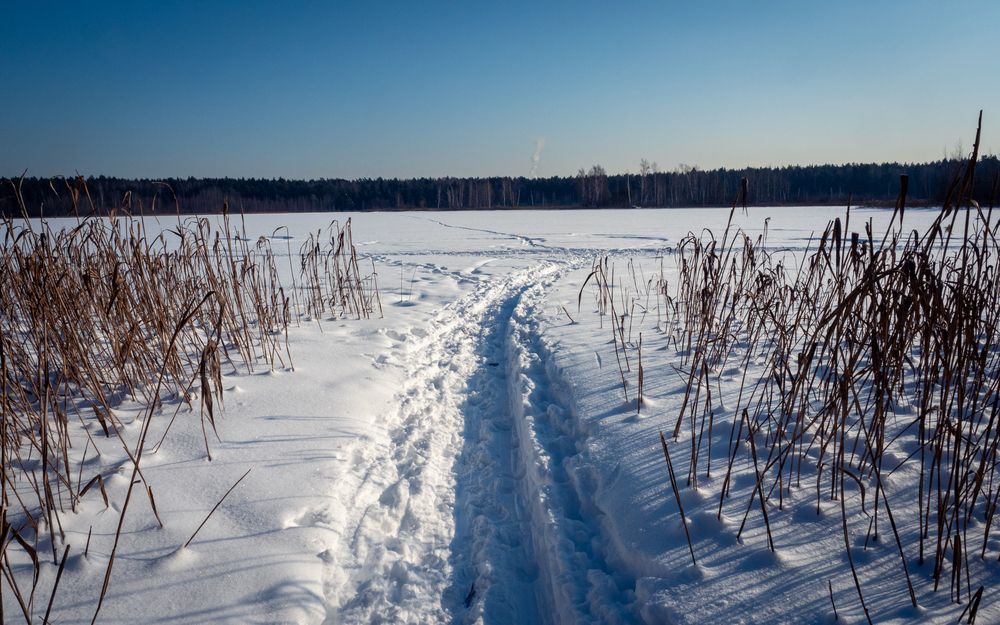 Фотография автора Бычков Валерий