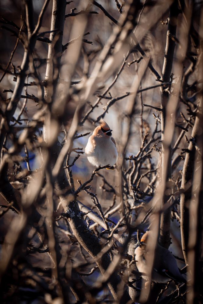 Photograph by Николай Захаров