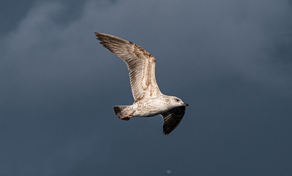 Photograph by Zen Sarac