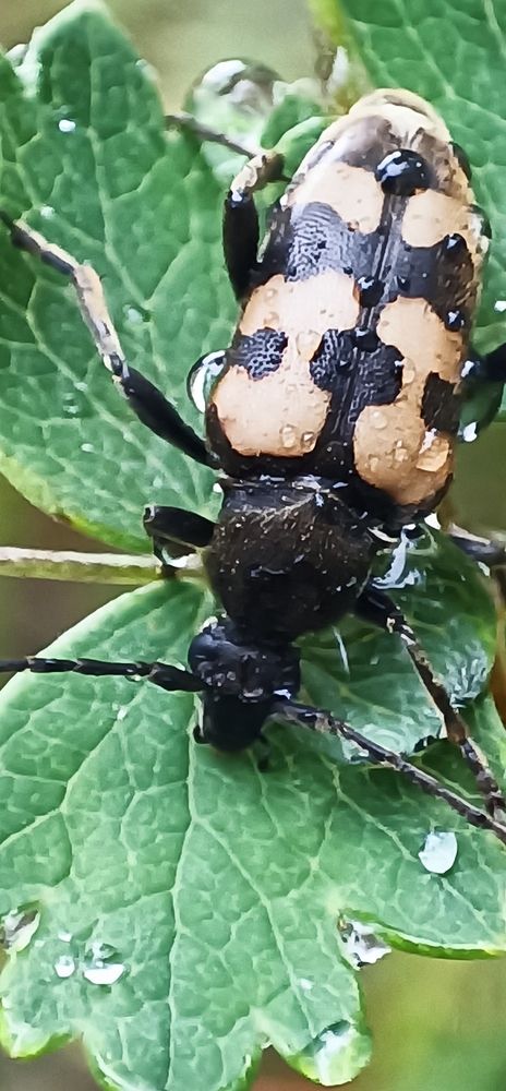 Photograph by Елена Калинина