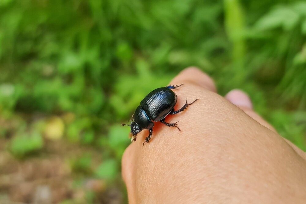 Photograph by Kim Natasha