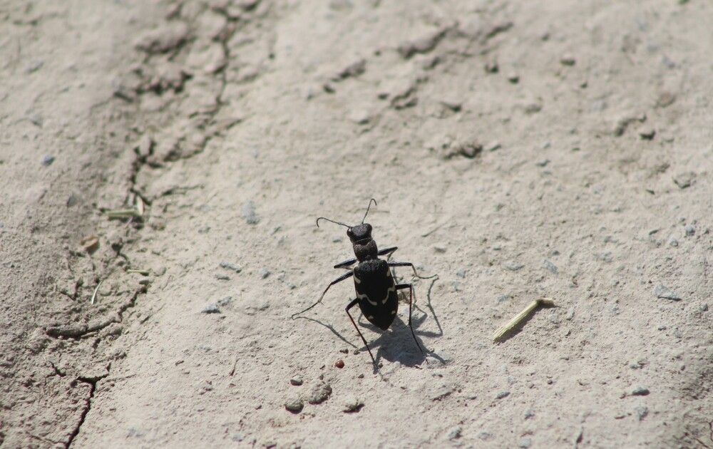 Photograph by Kim Natasha