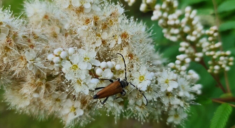 Photograph by Kim Natasha