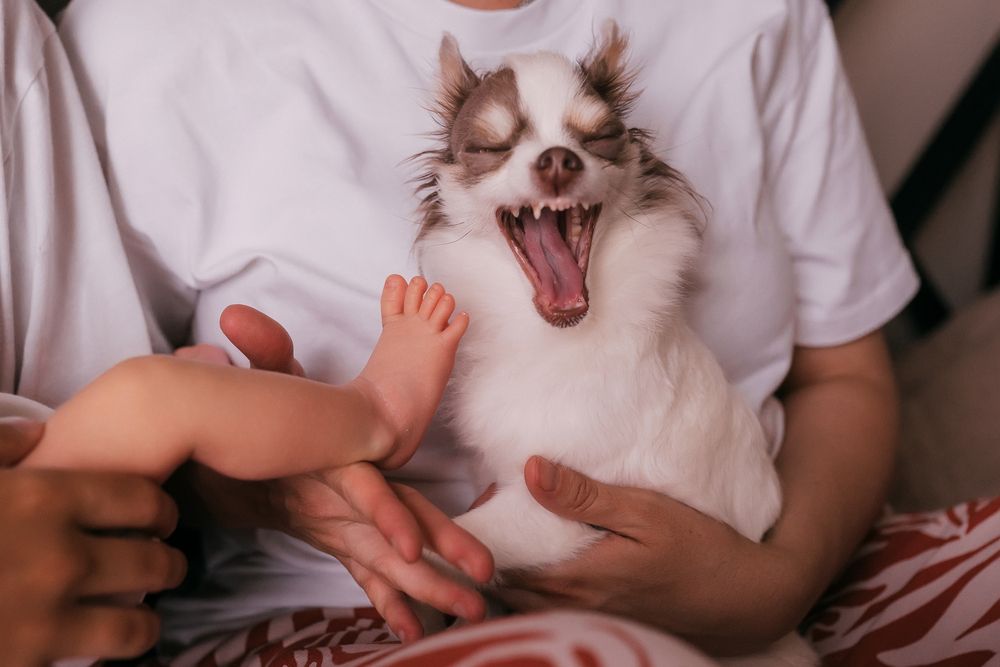 Photograph by Ольга Савченко
