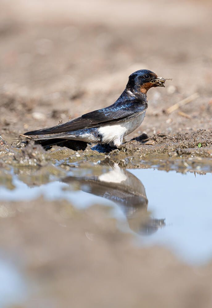 Photograph by Белов Александр