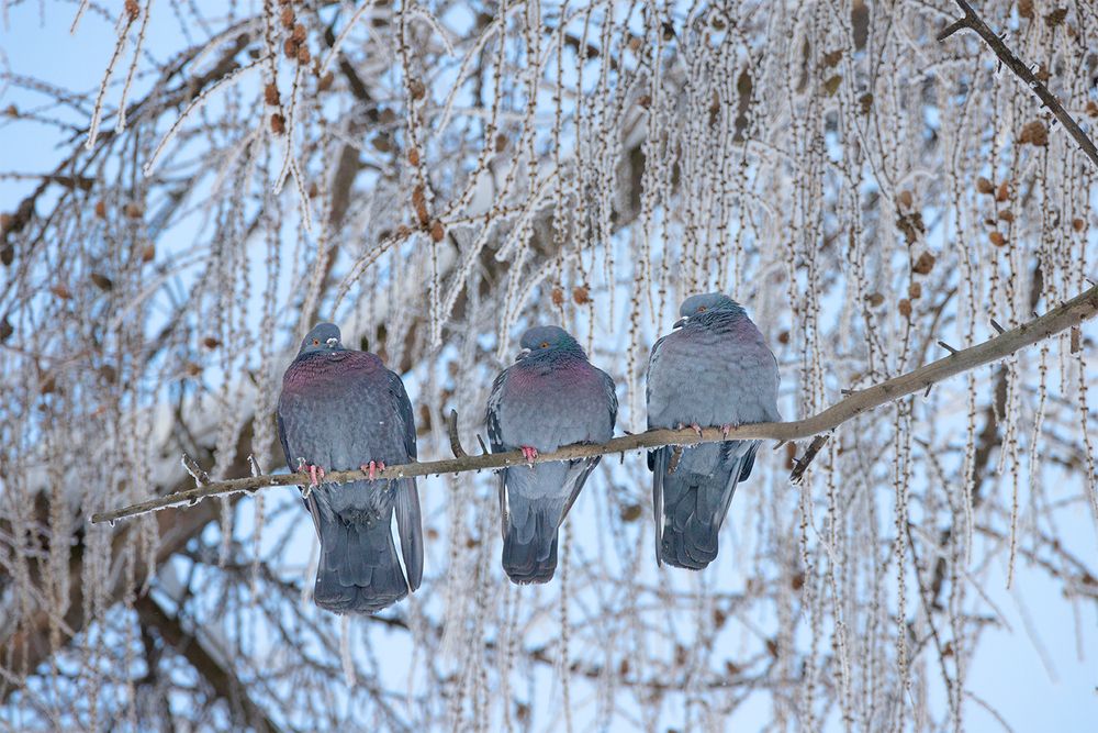 Photograph by Чудинин Дмитрий