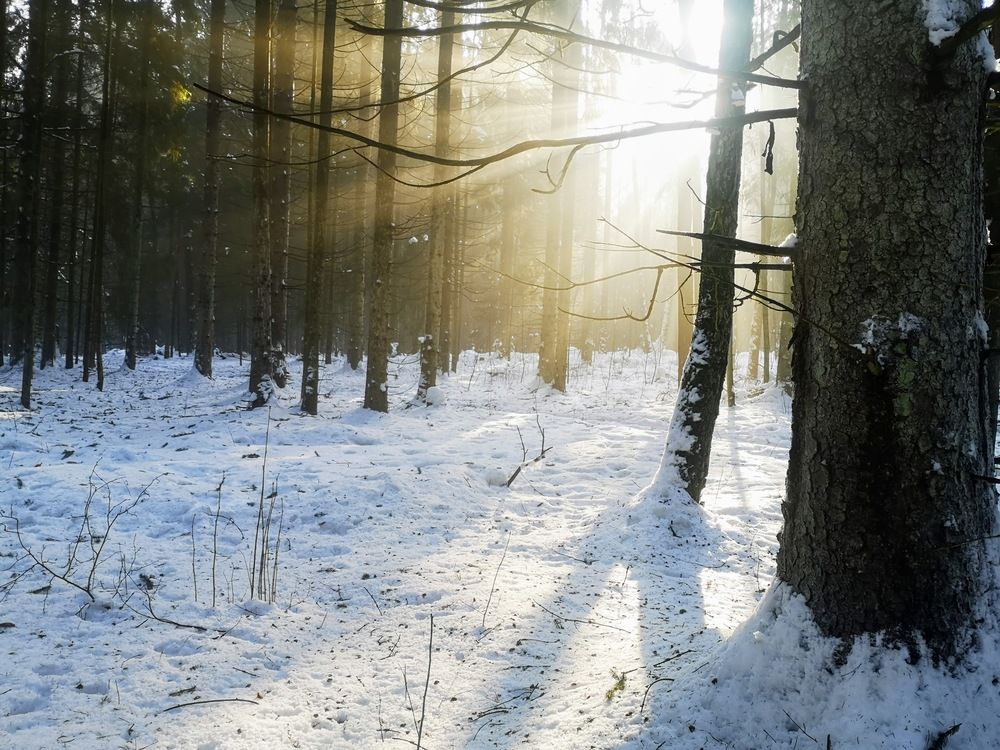 Фотография автора Александр Айзенштадт