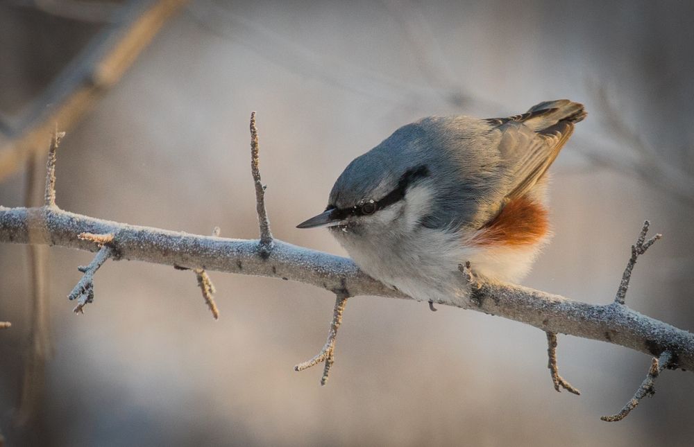 Фотография автора Константин Искучеков