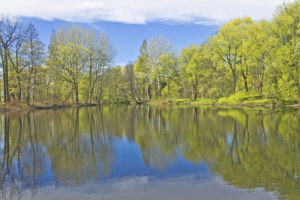 Прозрачный май.