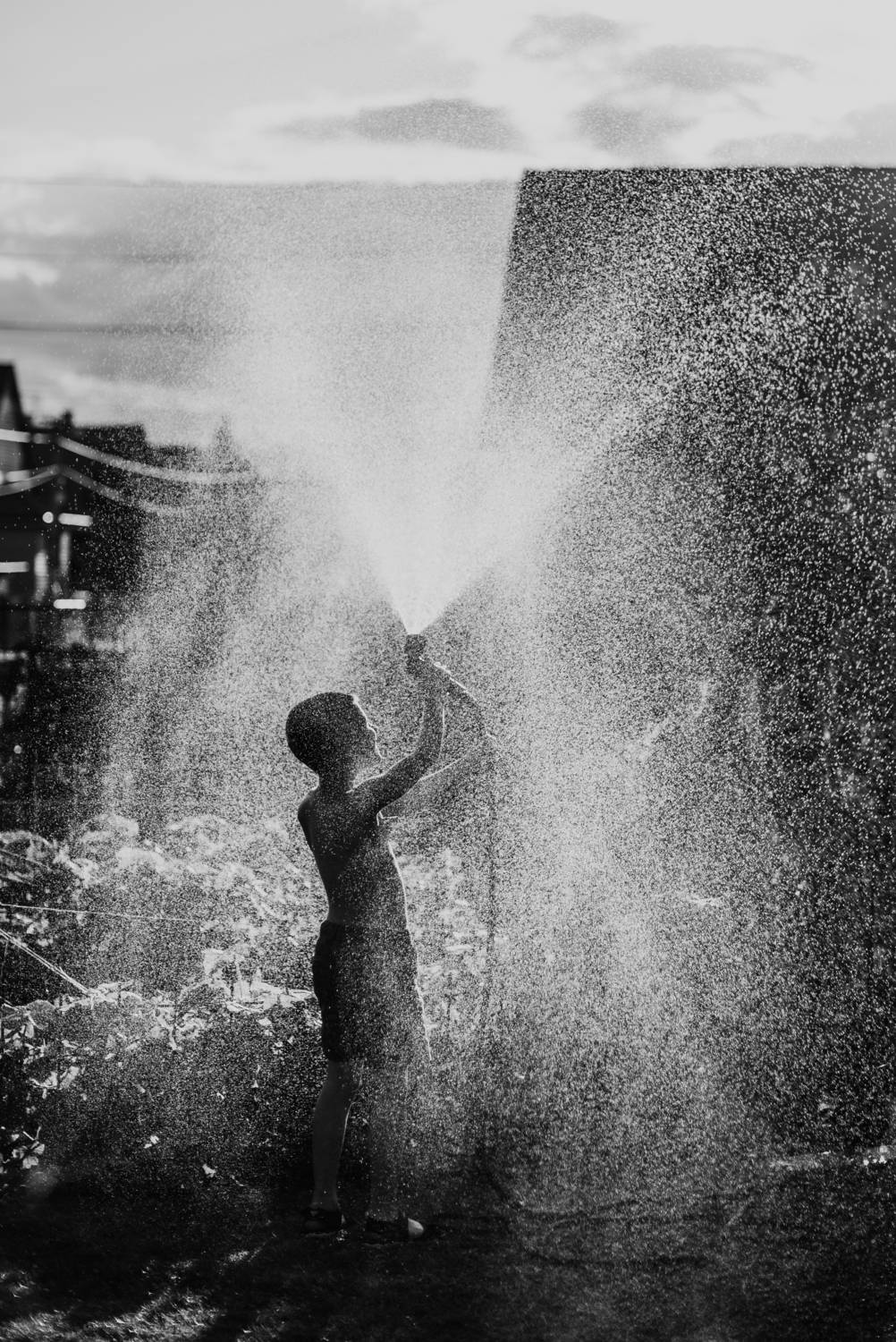 Фотография #13201845