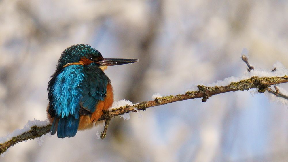 Photograph by Дмитрий Дрозд