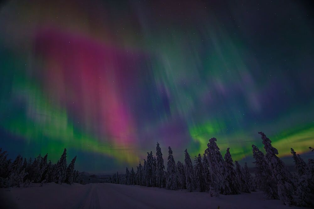 Фотография автора Boris Konovalov