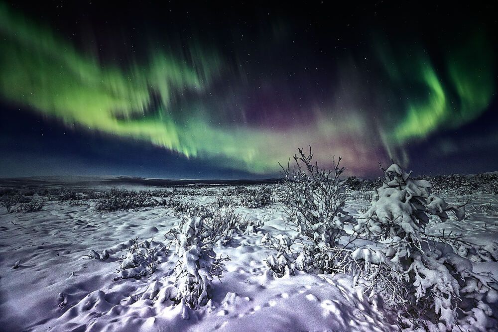 Фотография автора Boris Konovalov