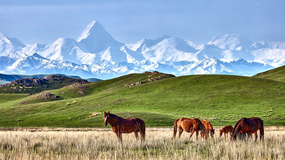 Фотография автора Boris Konovalov