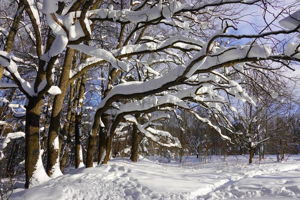 Photograph by Ионова Татьяна