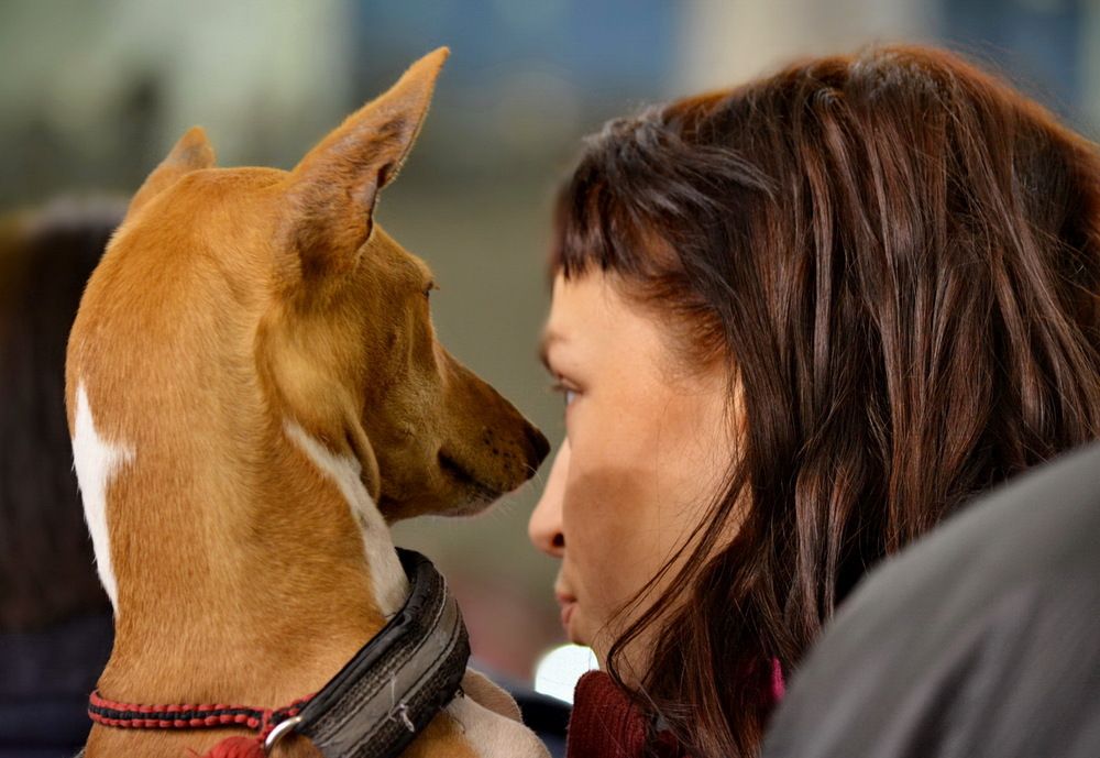 Photograph by Анастасия Смирнова