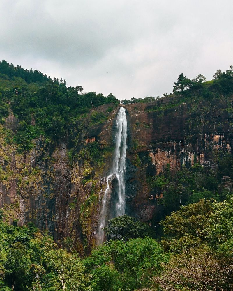 Photograph by Devmin Senevirathna