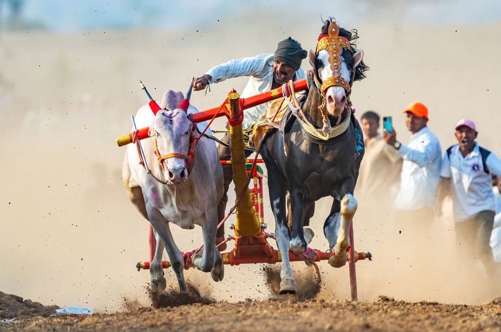 Photograph by Nitin Baste