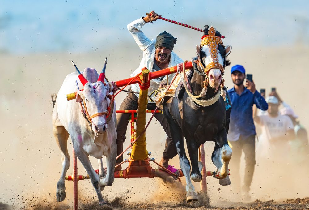 Photograph by Nitin Baste