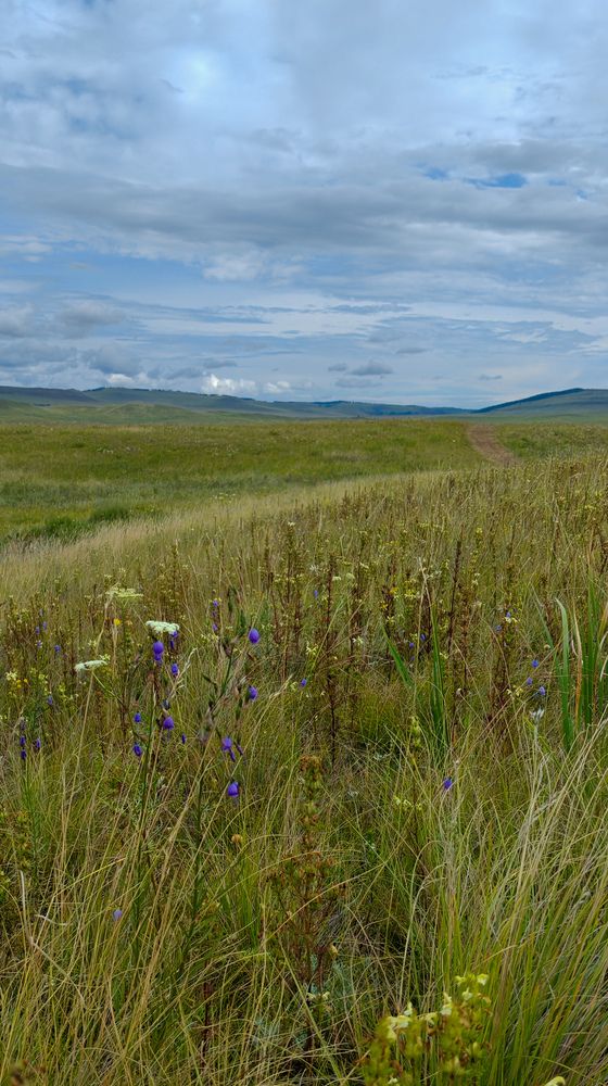 Photograph by ТАТЬЯНА ПАНОВА
