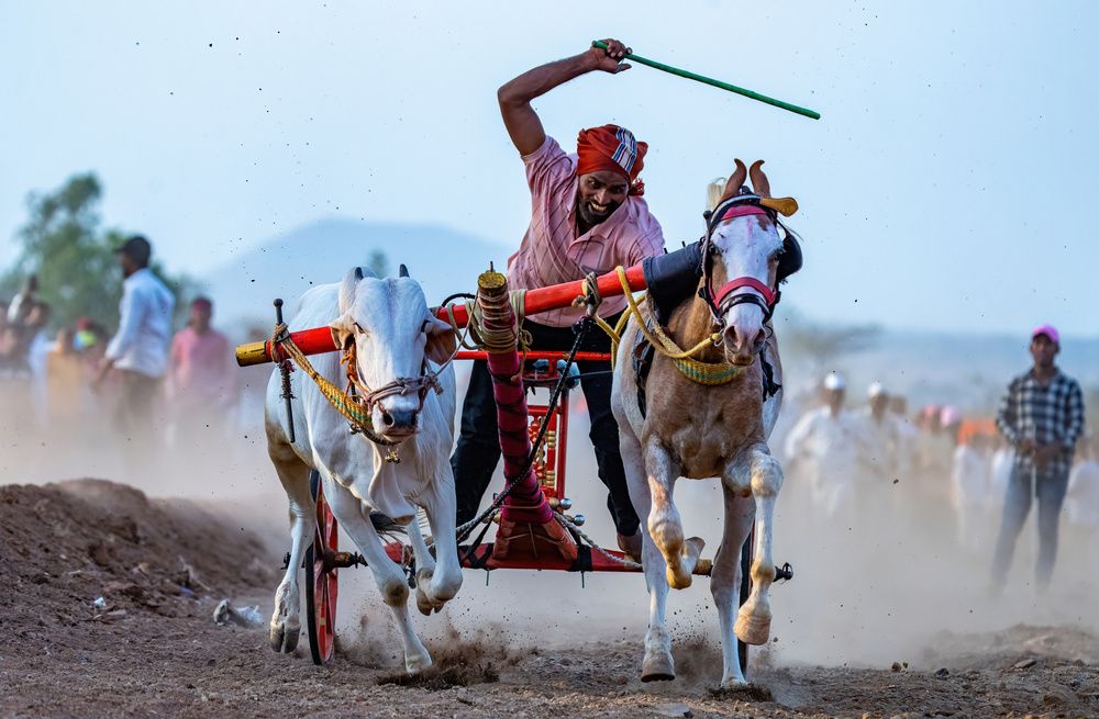 Photograph by Nitin Baste