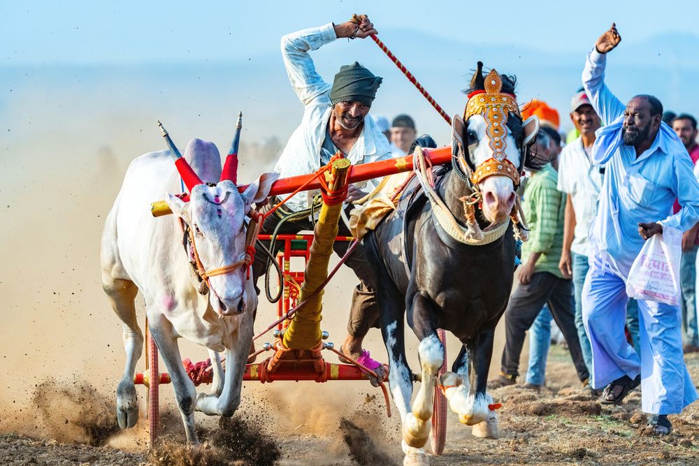 Photograph by Nitin Baste