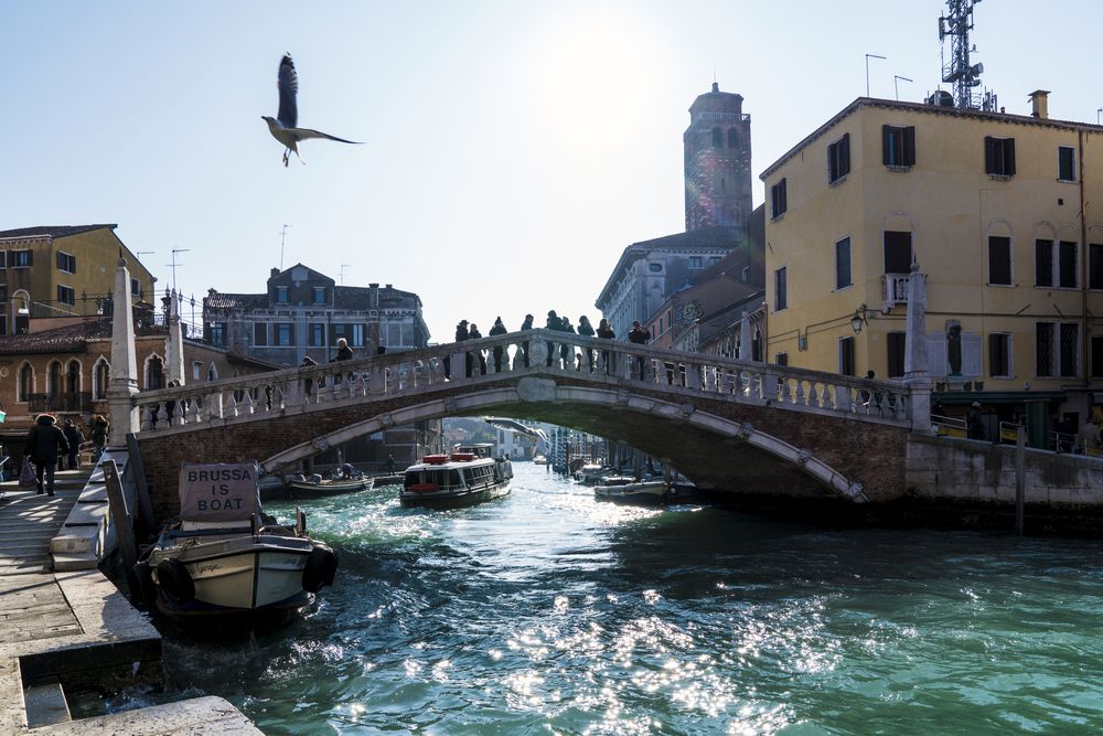 Photograph by Александр Журавлев