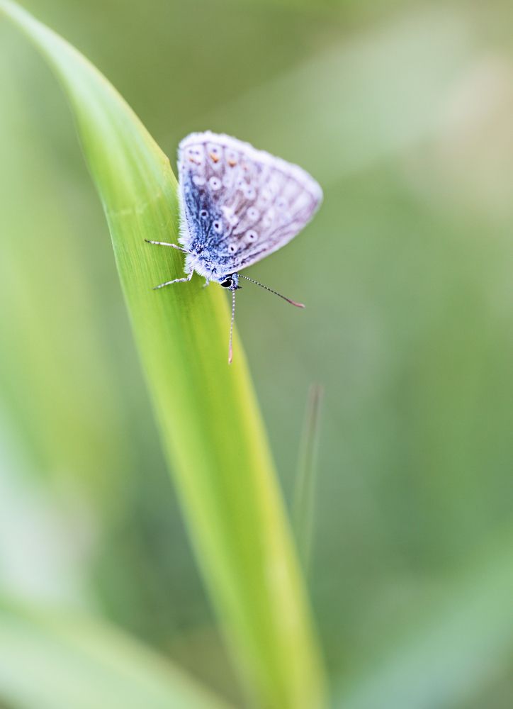 Photograph by Олег Чернышев