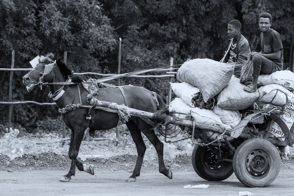 Photograph by Slutskiy Nikolay