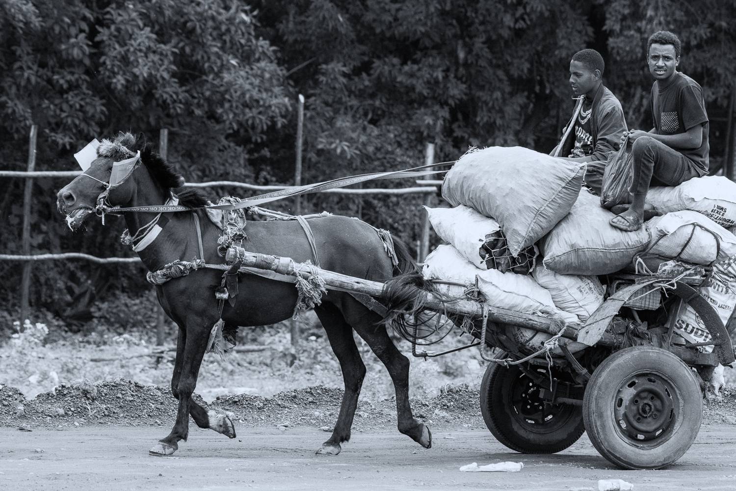 Фотография #13202086