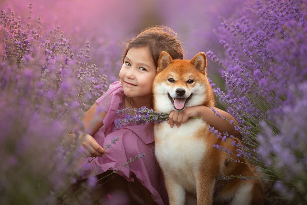 Photograph by Анастасия Чернявская