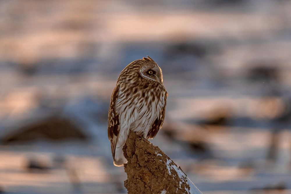 Photograph by Константин Тучин