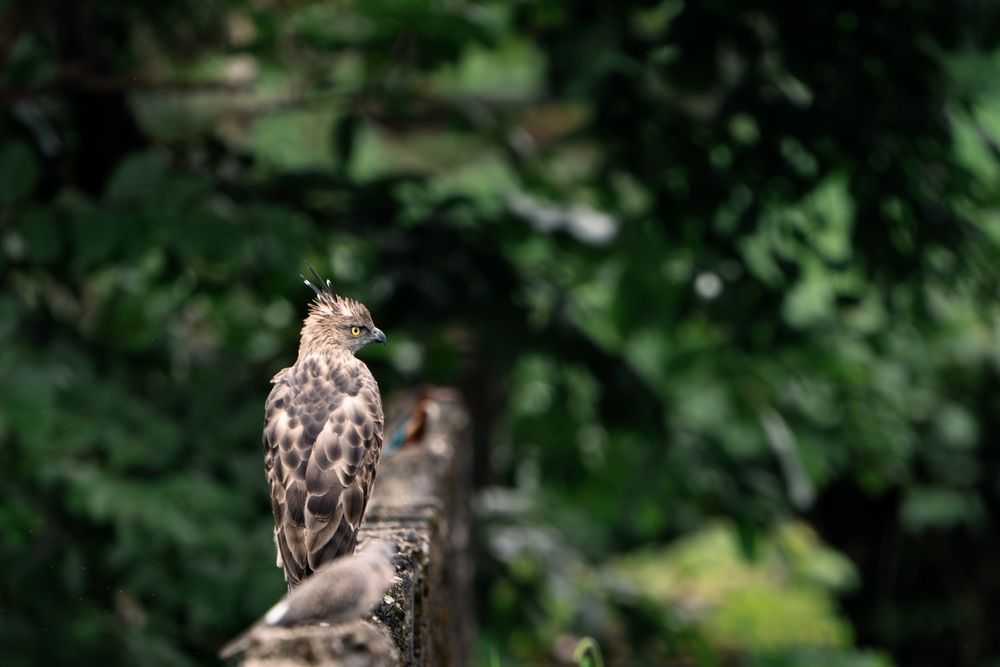 Photograph by Vineeth K