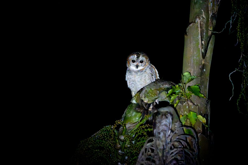 Photograph by Vineeth K