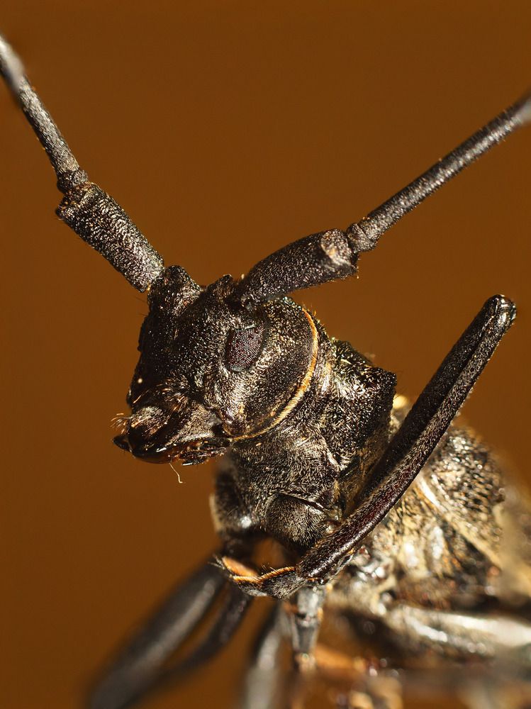 Photograph by Риганов Борис