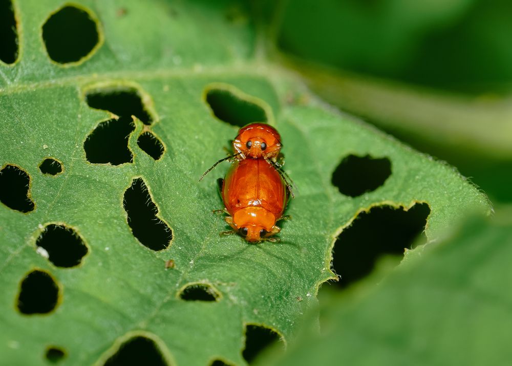 Photograph by Vineeth K