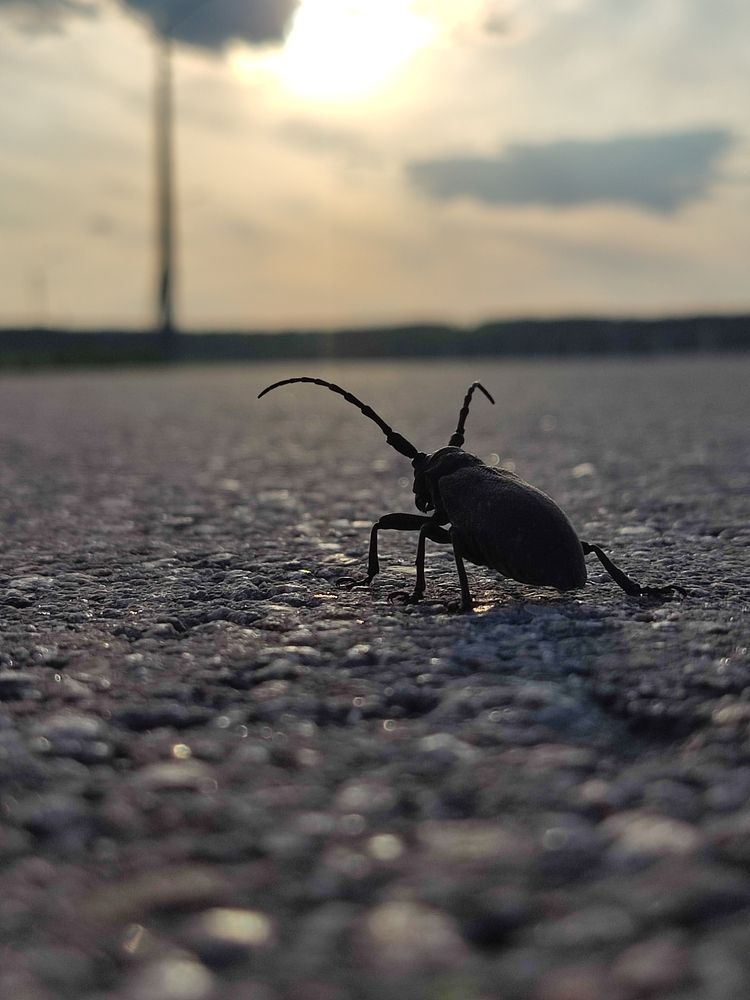 Photograph by Елена Иванкина