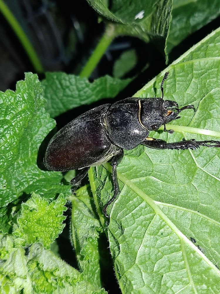 Photograph by Елена Иванкина