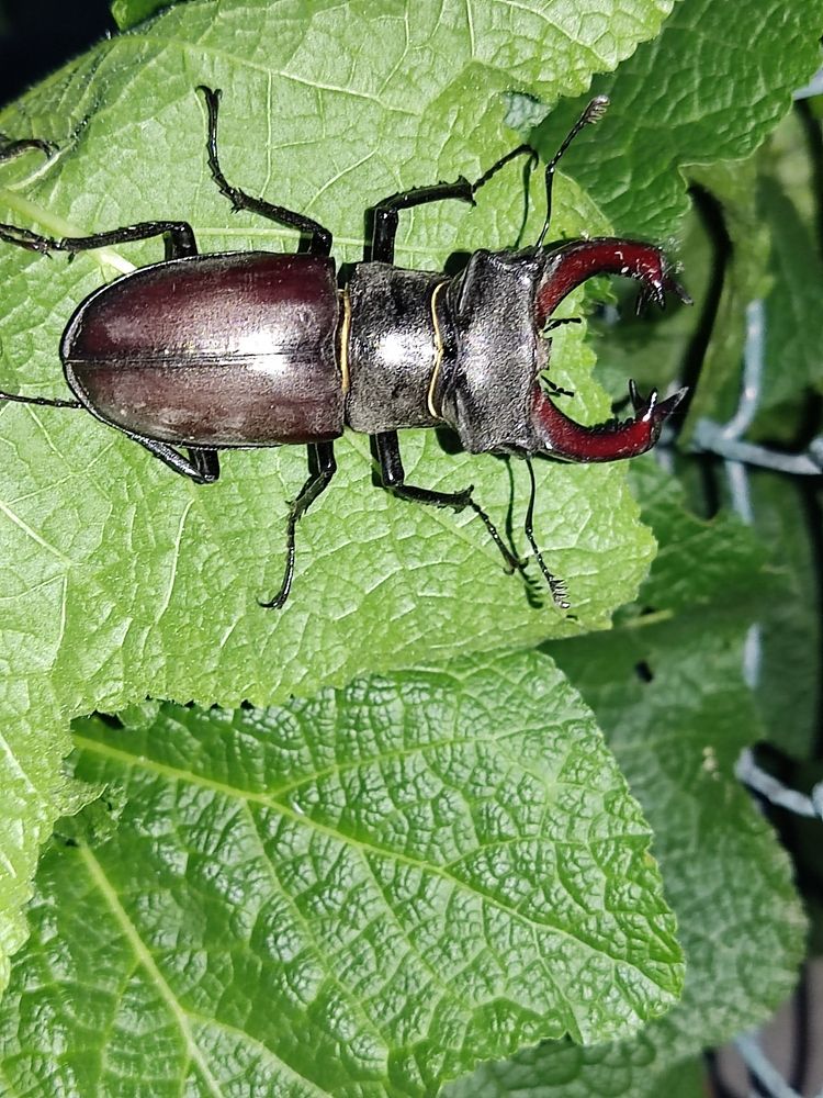 Photograph by Елена Иванкина