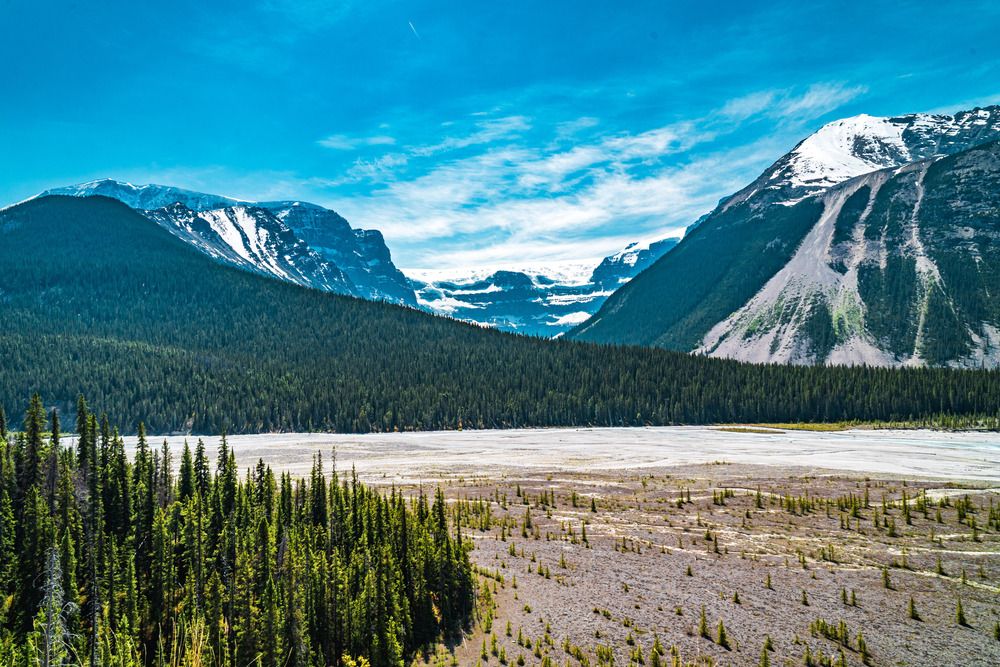 Photograph by Athul Konikkara