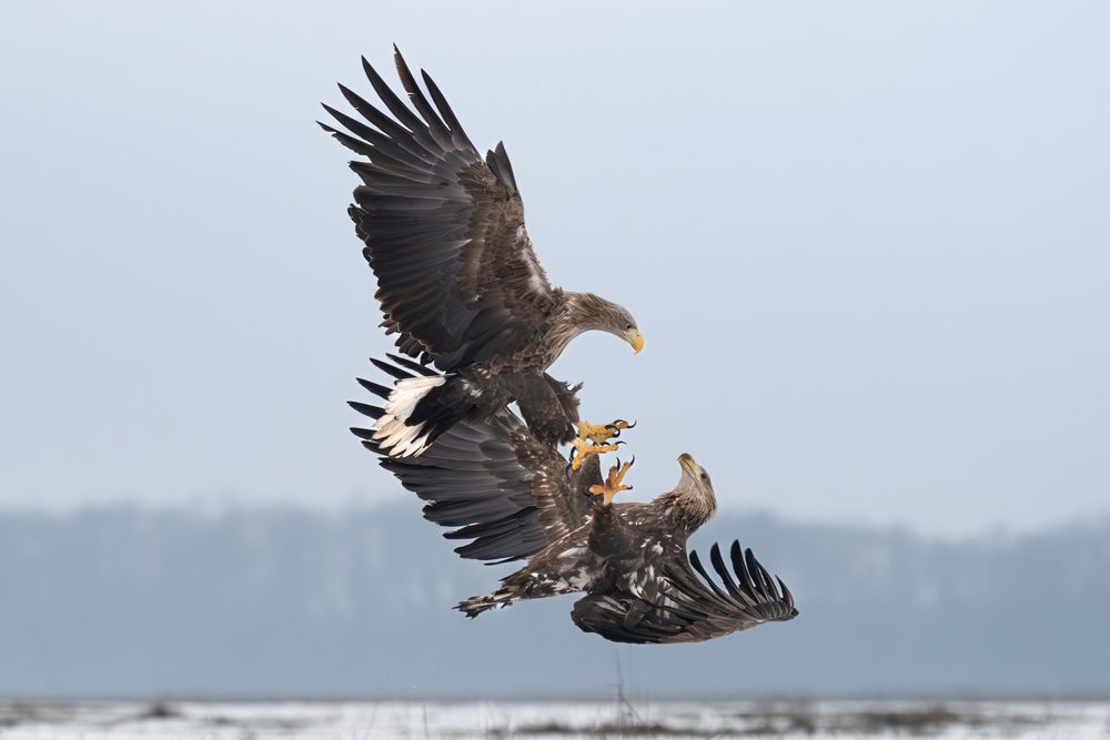 Photograph by Dejan Zakic