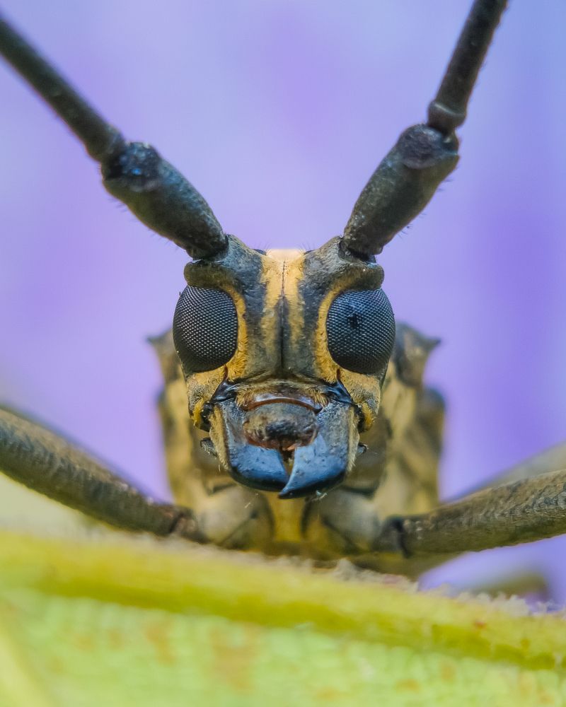 Photograph by Anandu S nair