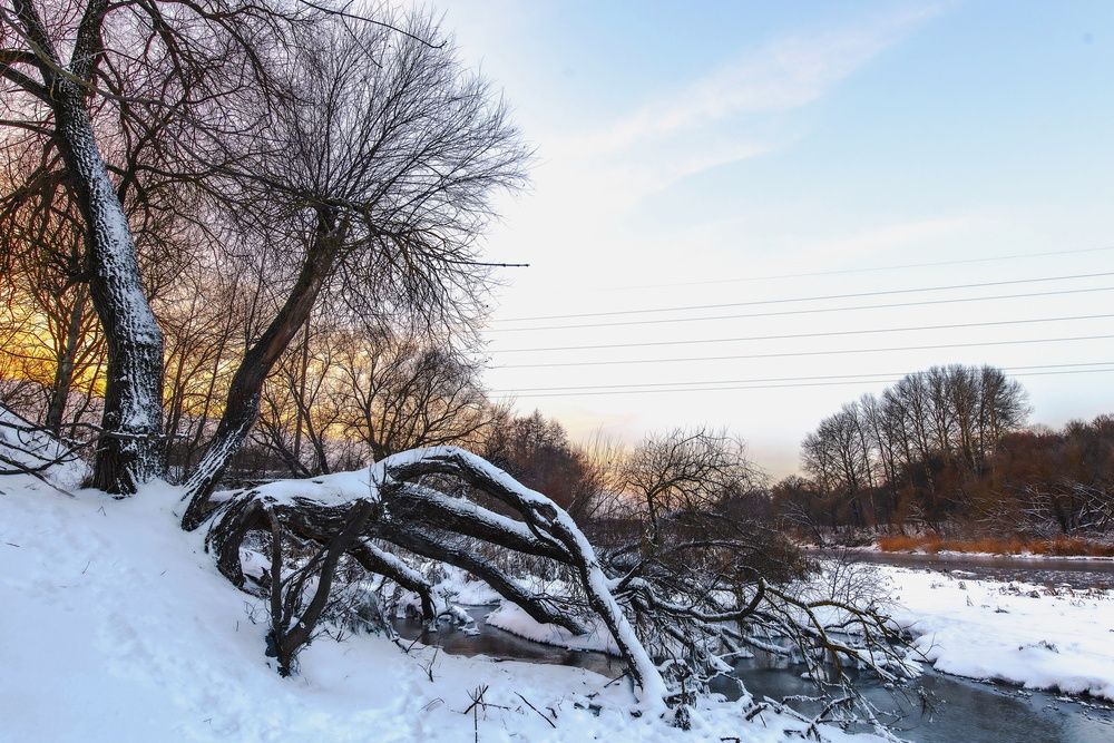 Photograph by Алексей Сиваков
