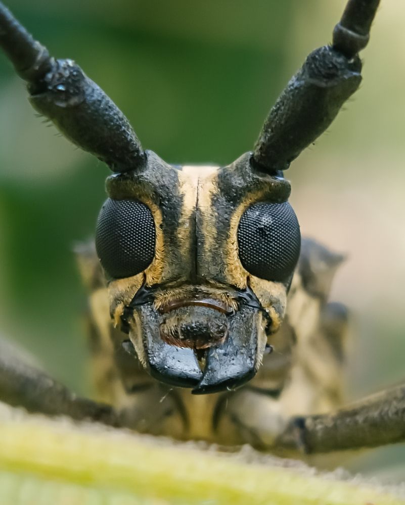 Photograph by Anandu S nair