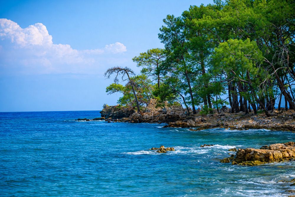 Фотография автора Александра Лаврентьева
