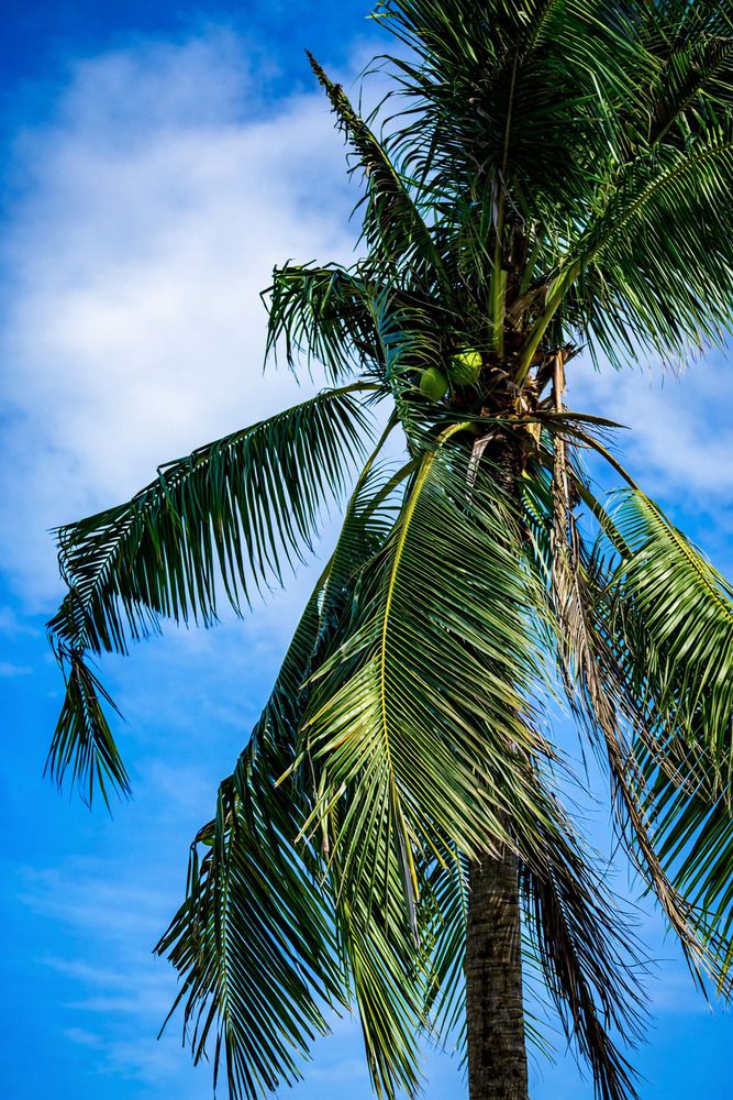 Фотография автора Александра Лаврентьева