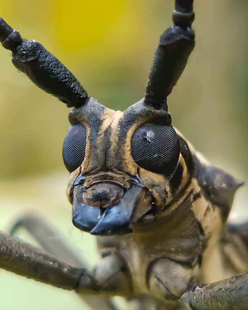 Photograph by Anandu S nair