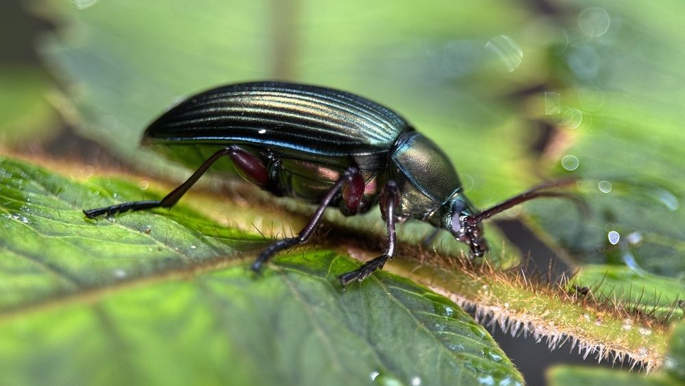 Photograph by Vadim Sayfullin