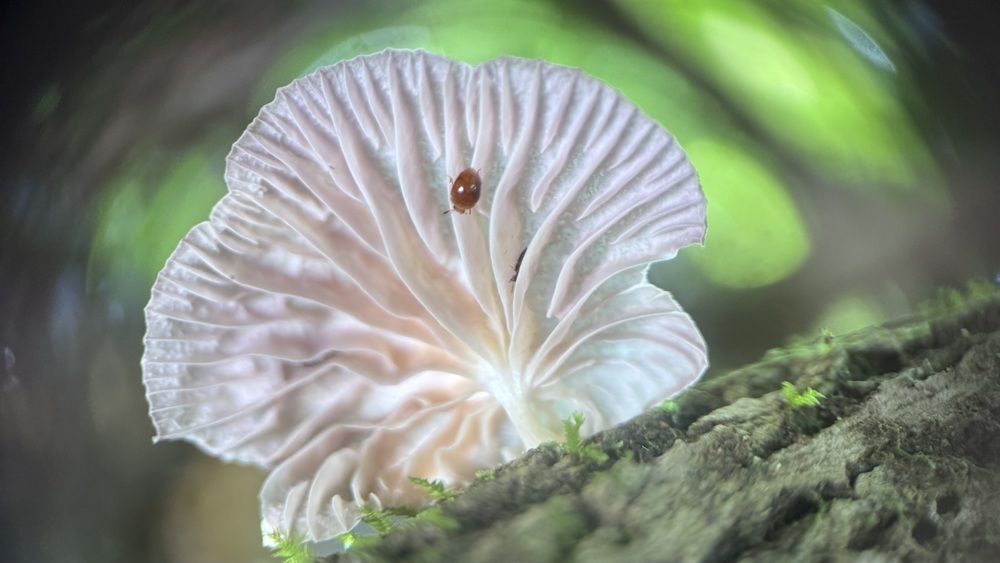 Photograph by Vadim Sayfullin