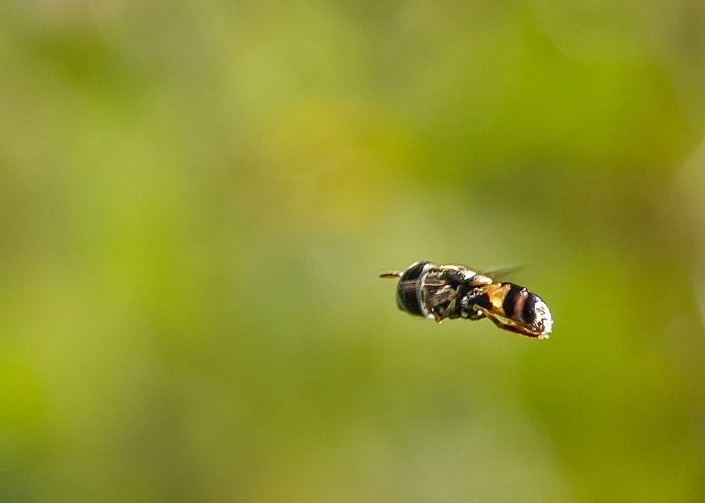 Photograph by Anandu S nair